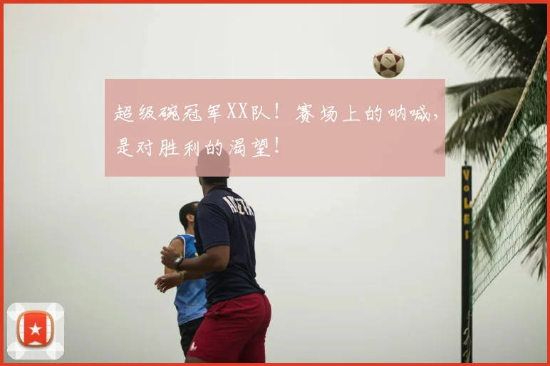 超级碗冠军XX队!赛场上的呐喊,是对胜利的渴望!